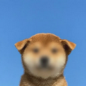 INUFICATION