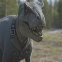 REXLER