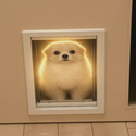 DIH
