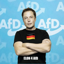 Elon4AfD
