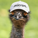 EMU