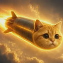 PURR / SOL