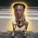 elondog