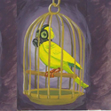 Canary