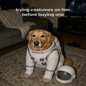 XDOG