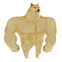 SWOLEDOGE / SOL