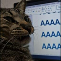 AAAAAAAAAA