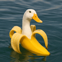 Ducknana