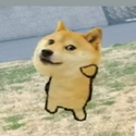 POPDOGE