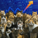 Nekonomics