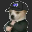fomodog / SOL