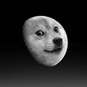 MOON DOGE