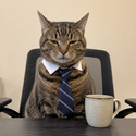 TIECAT