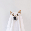 GHOSTINU