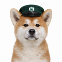 HACHI