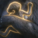 Usala