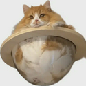 CATURN / SOL