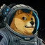 DOGE-1  / USDC