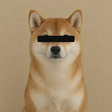 ███