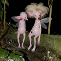 Fairies / SOL