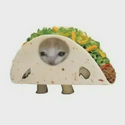 tacocat