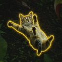 滑る猫