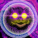 HELLCAT / USDC