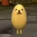 Eggdog