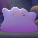Ditto