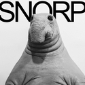 Snorp