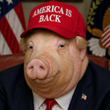 Trumpig