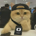 WCAT