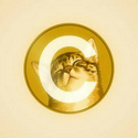 CATE / USDT