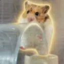 きんたま