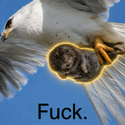 FUCK