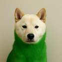 INU