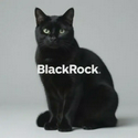 BLKCAT