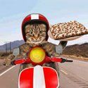 Catdeli