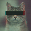 CYPHERCAT