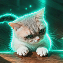 Hypurr / HYPE
