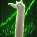 Loongcat / HYPE