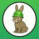 PumpBunny
