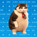 CHONKS