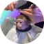 monk