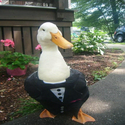 DUX