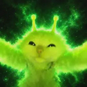 Glorp / SOL