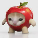 aCat