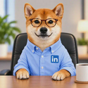 LinkedInu / SOL