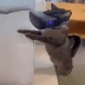 GOONCAT