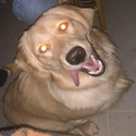 LOLA